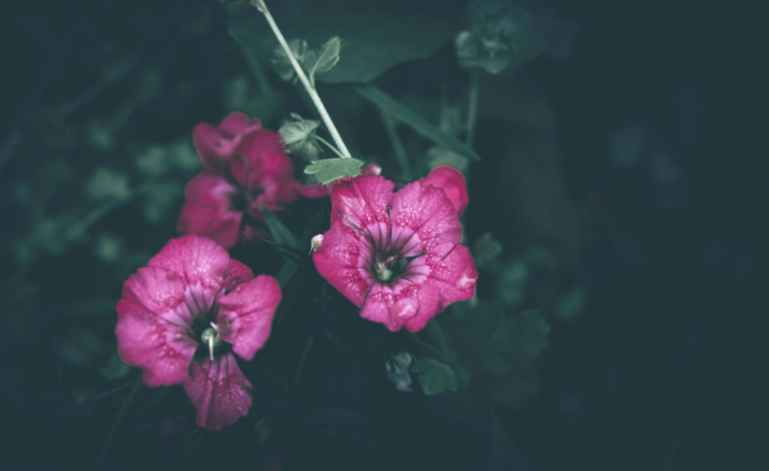 Elegant wedding floral arrangement with white roses and greenery